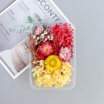 1 Кутия истински сухоцветов Естествени сухи цветя, листа за свещи, висулки от смола, изработка на букети, украса