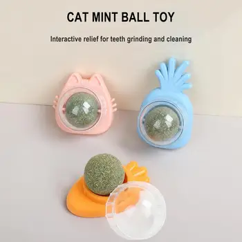 Натурална коча билка Cat Wall Stick-on Ball Toy Третира Здрави Естествени Перли За Премахване на козина, които допринасят за Храносмилането, Предястие от билки за домашни котки